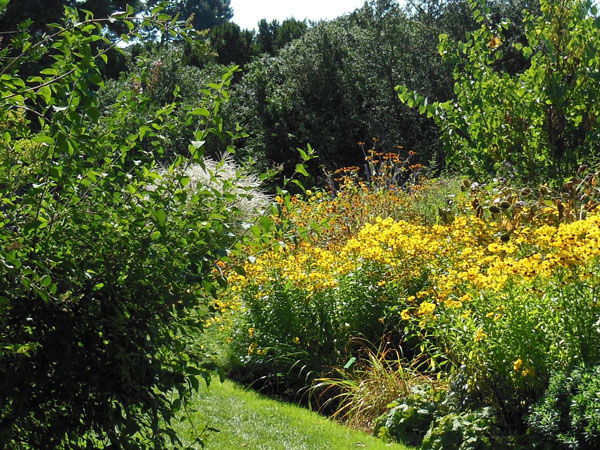 Kornweibel Gartengestaltung